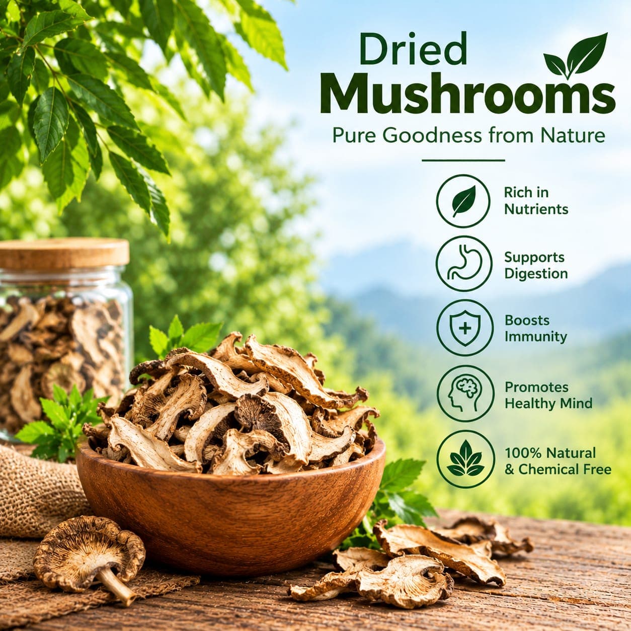 Dried Mushrooms