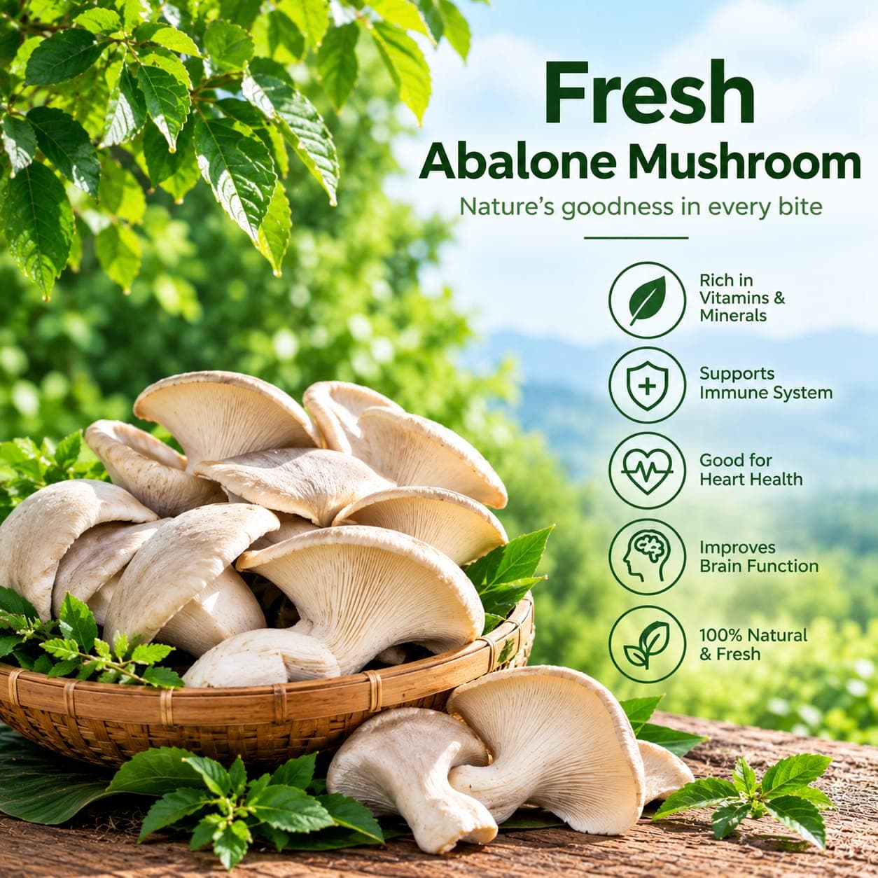 Abalone Mushroom